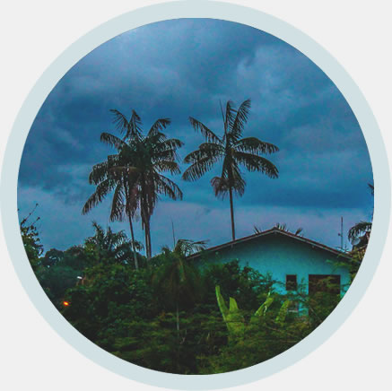 Alan Alves Fotografia