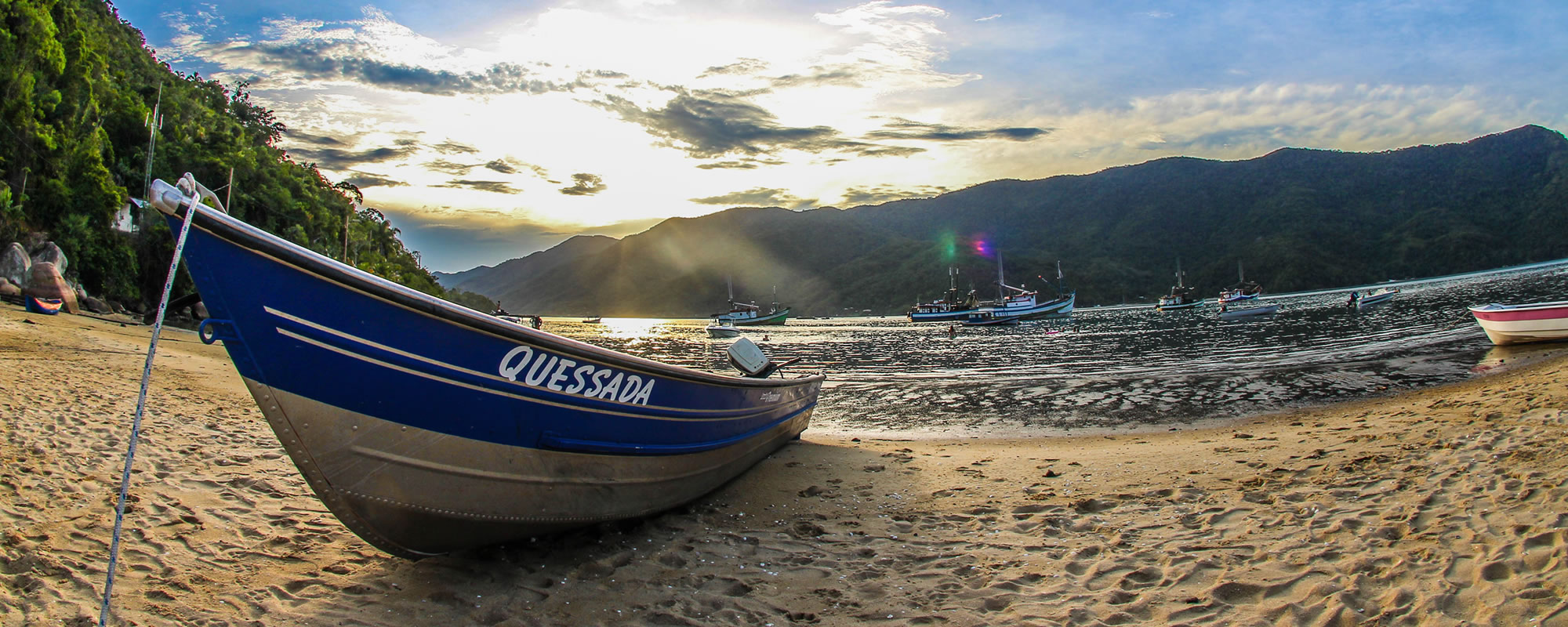 Alan Alves Fotografia