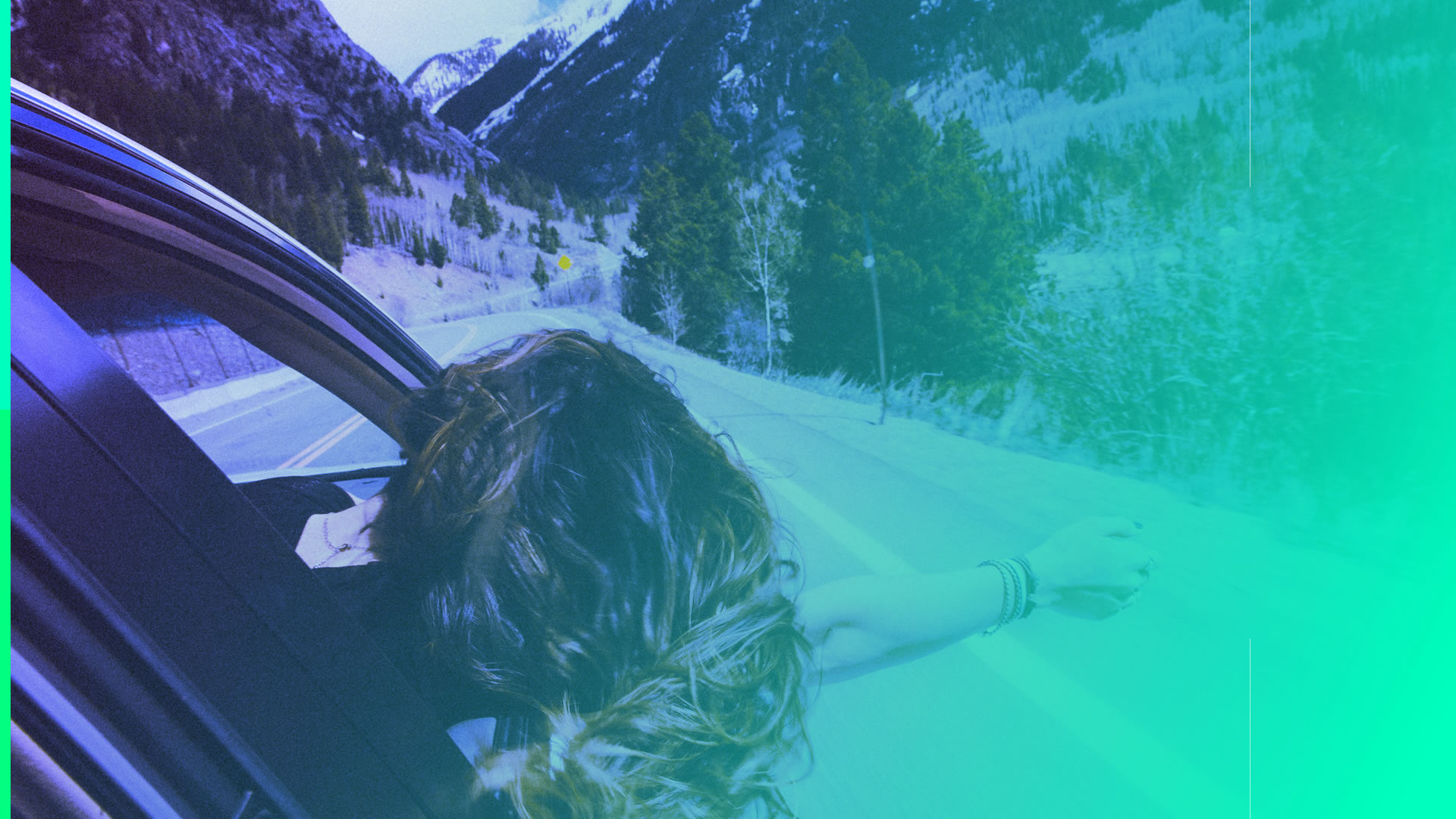 Wikt - Agência Wish Marketing